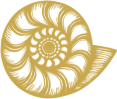 Logo L'Ammonite
