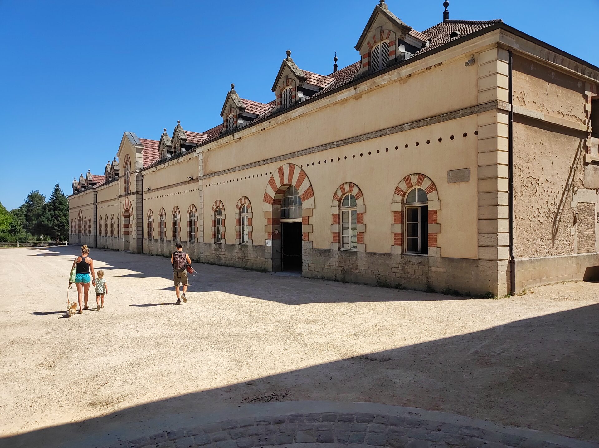 Haras national de Cluny